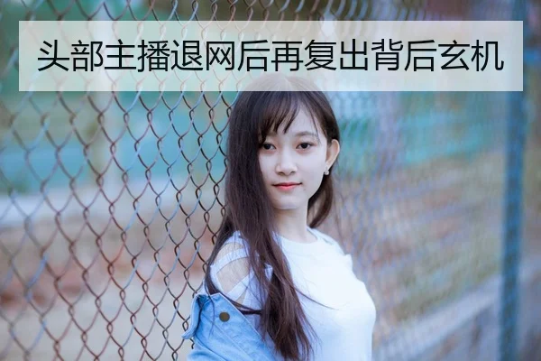 头部主播退网后再复出背后玄机