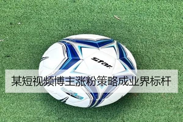 mou-duan-shi-pin-bo-zhu-zhang-fen-ce-lve-cheng-ye-jie-biao-gan-2-156.jpg