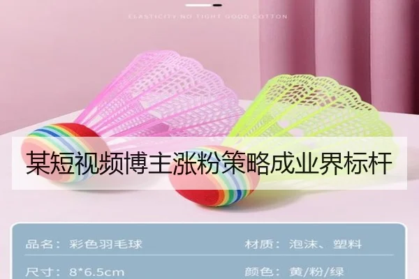 某短视频博主涨粉策略成业界标杆